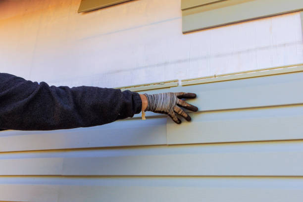 Best Vinyl Siding Installation  in Lansing, KS